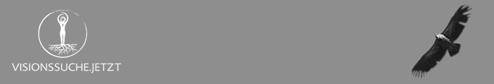 Visionssuche Logo
